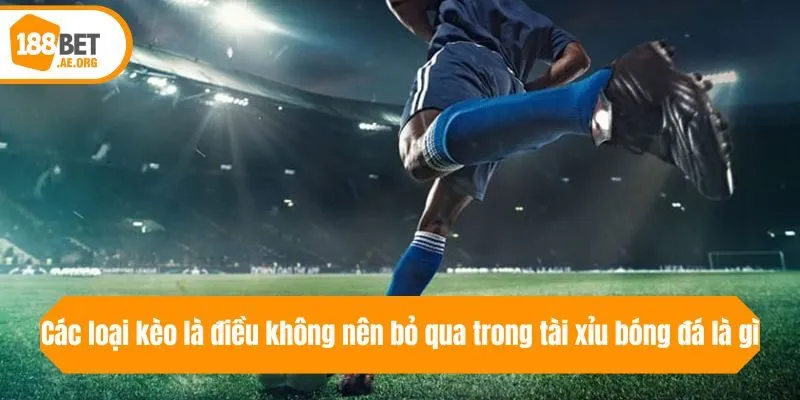 Các loại kèo là điều không nên bỏ qua trong tài xỉu bóng đá là gì