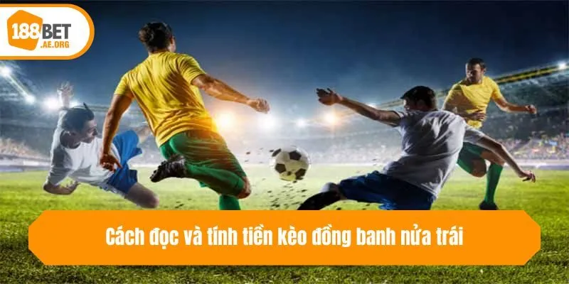 Cách đọc và tính tiền kèo đồng banh nửa trái