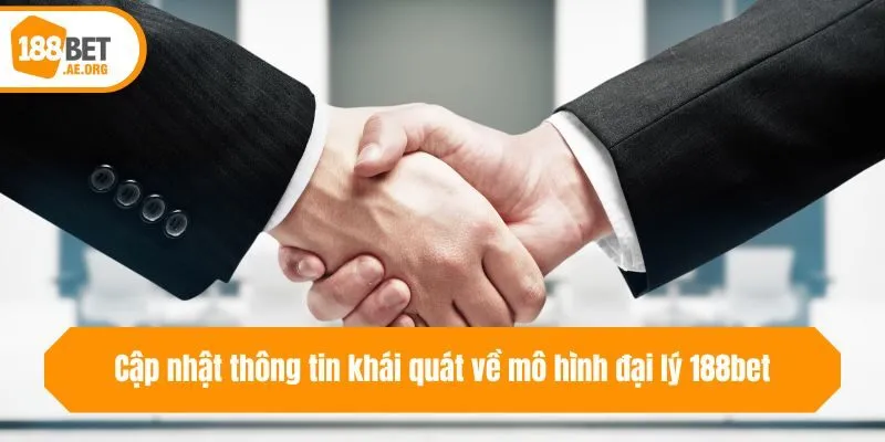 Cập nhật thông tin khái quát về mô hình đại lý 188bet