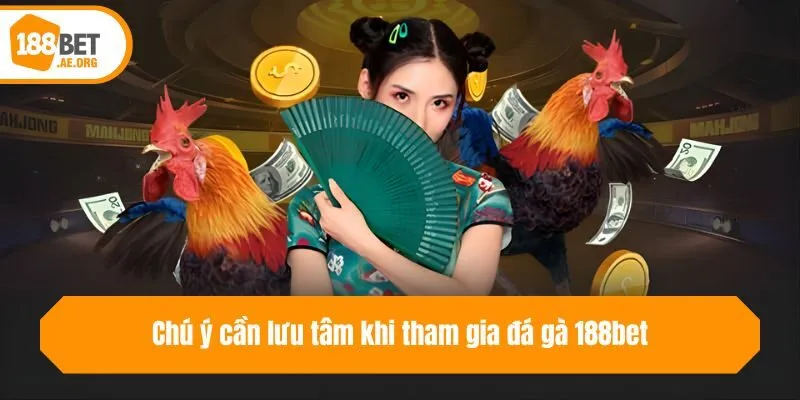 Chú ý cần lưu tâm khi tham gia đá gà 188bet