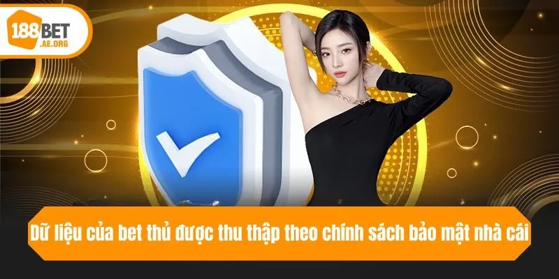Dữ liệu của bet thủ được thu thập theo chính sách bảo mật nhà cái