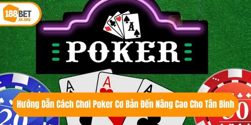 Hướng Dẫn Cách Chơi Poker Cơ Bản Đến Nâng Cao Cho Tân Binh