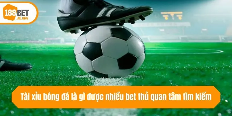 Tài xỉu bóng đá là gì được nhiều bet thủ quan tâm tìm kiếm