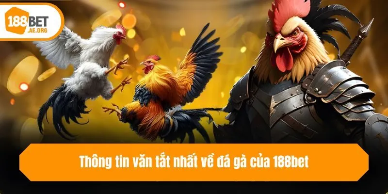 Thông tin văn tắt nhất về đá gà của 188bet