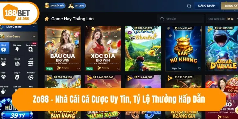 Zo88 - Nhà Cái Cá Cược Uy Tín, Tỷ Lệ Thưởng Hấp Dẫn